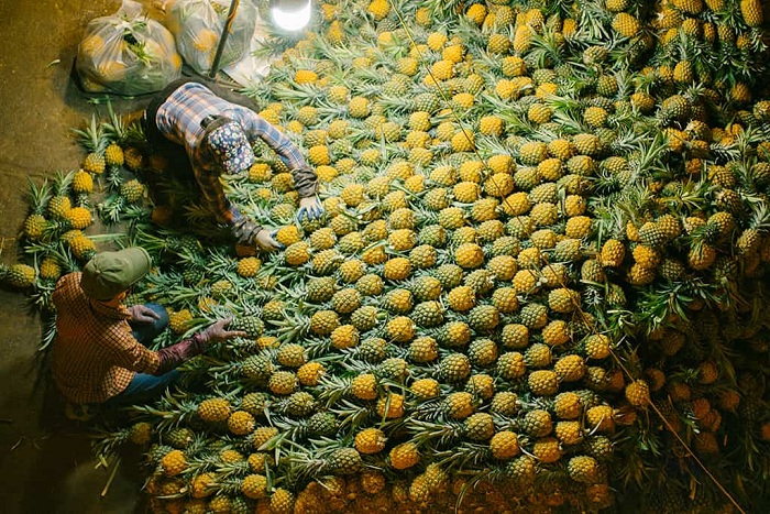 long bien market hanoi fruits